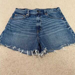 American Eagle Outfitters Blue Frayed Jean Shorts
